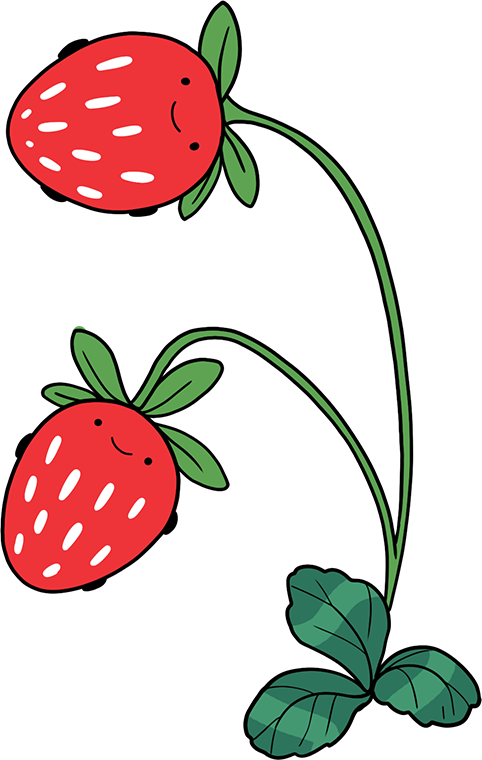 strawberries